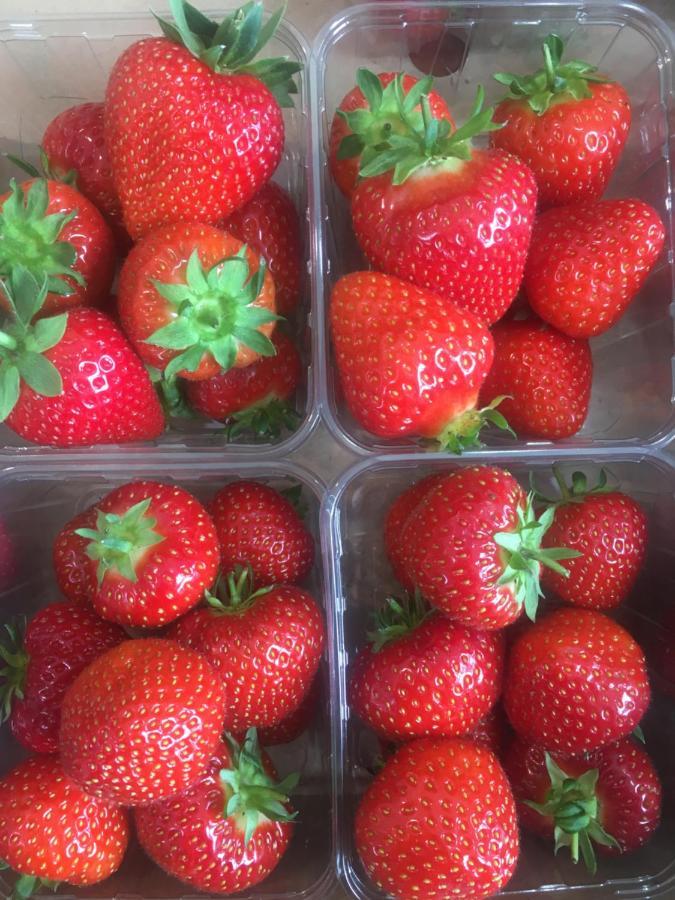 Shamerbrea The Foodie B&B Inverness Ngoại thất bức ảnh